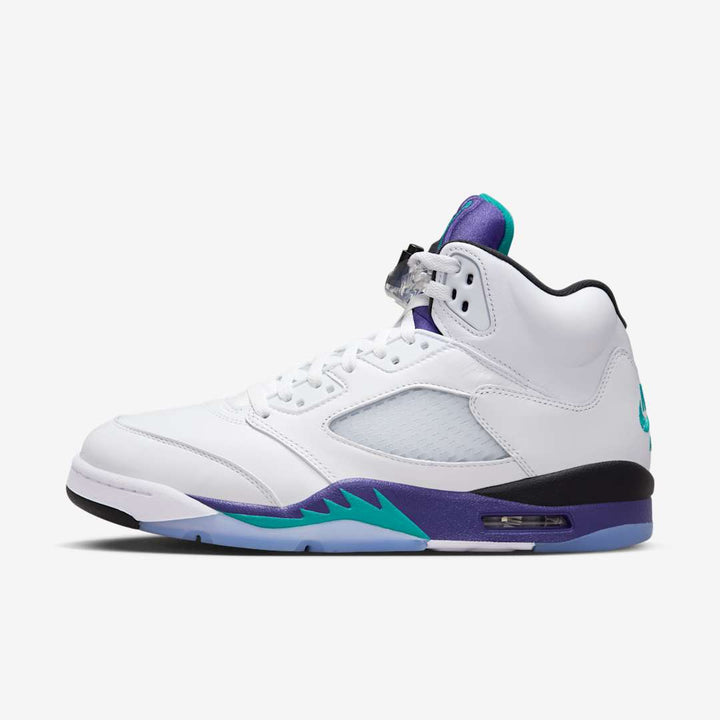 Air Jordan Retro 5