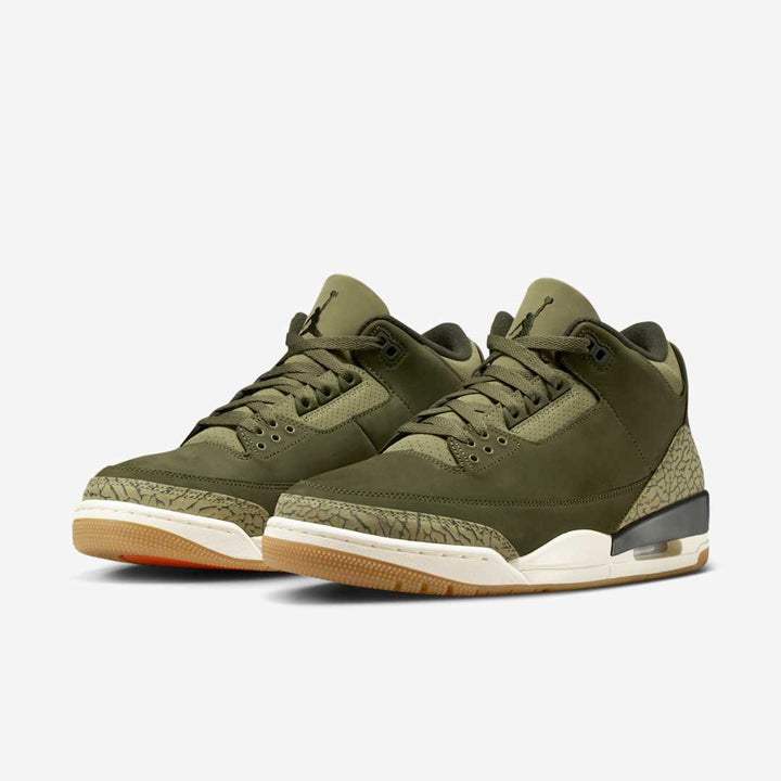 Air Jordan 3 “Family Affair”