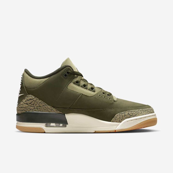 Air Jordan 3 “Family Affair”