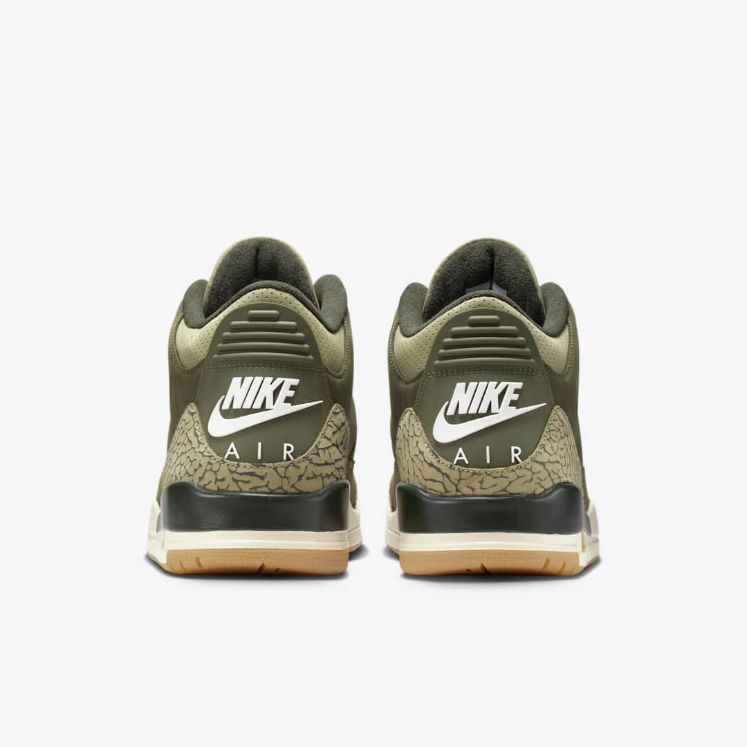 Air Jordan 3 “Family Affair”