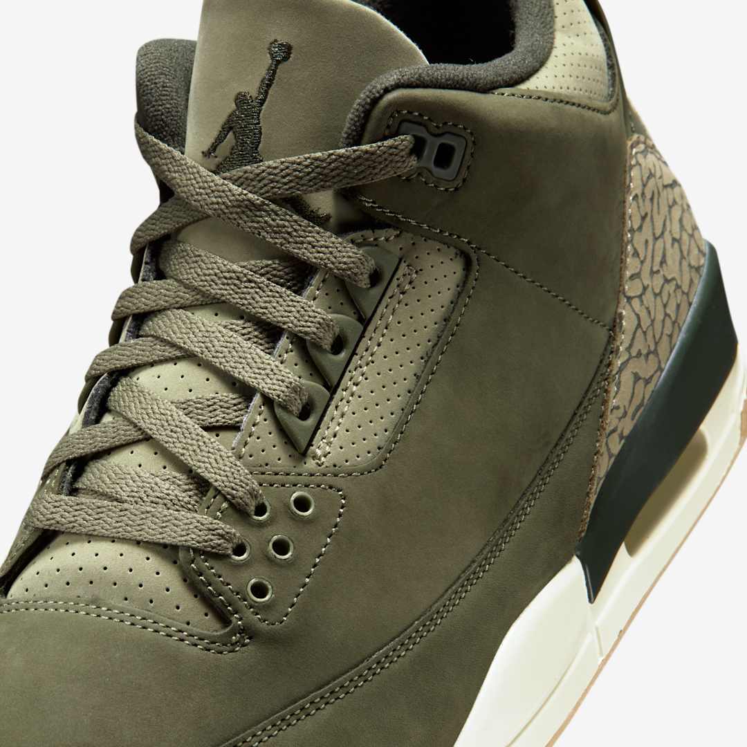 Air Jordan 3 “Family Affair”