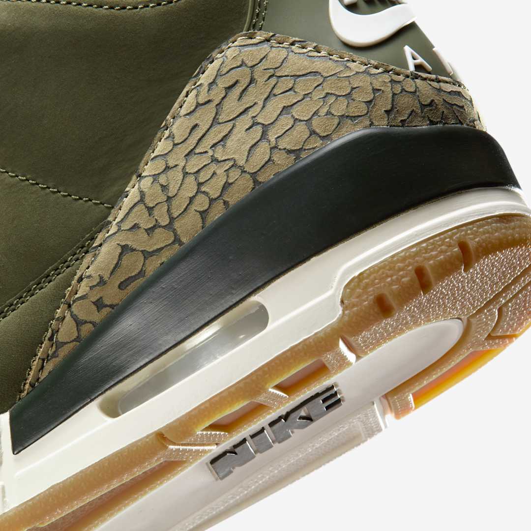 Air Jordan 3 “Family Affair”