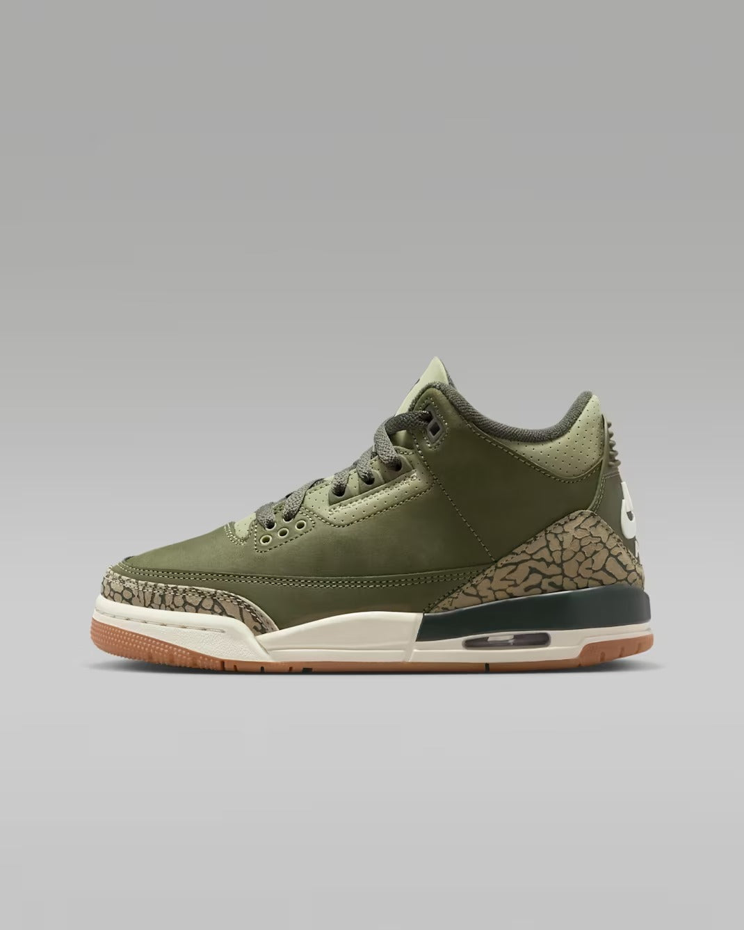 Air Jordan 3 “Family Affair”